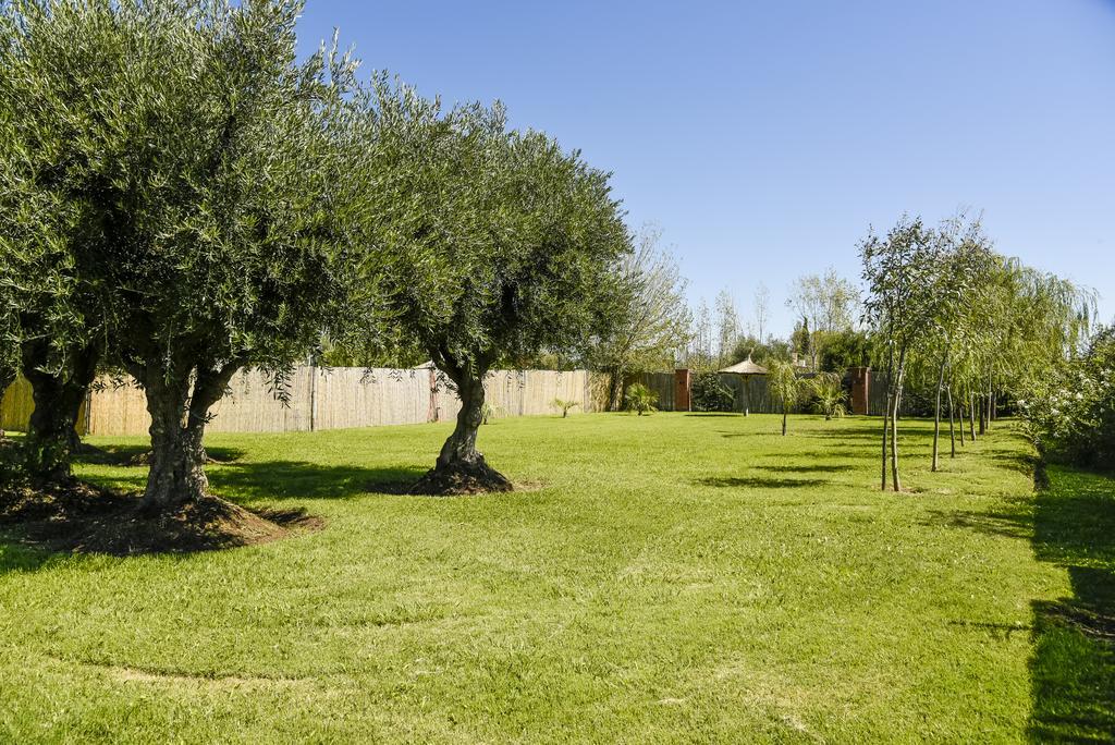 La Bodega San Rafael (Mendoza)